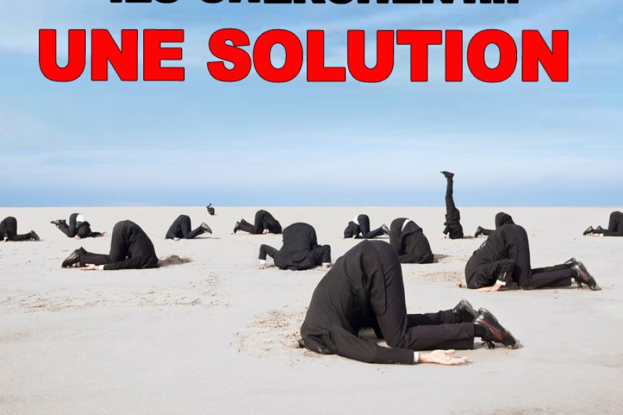 alerte-autruche-solution
