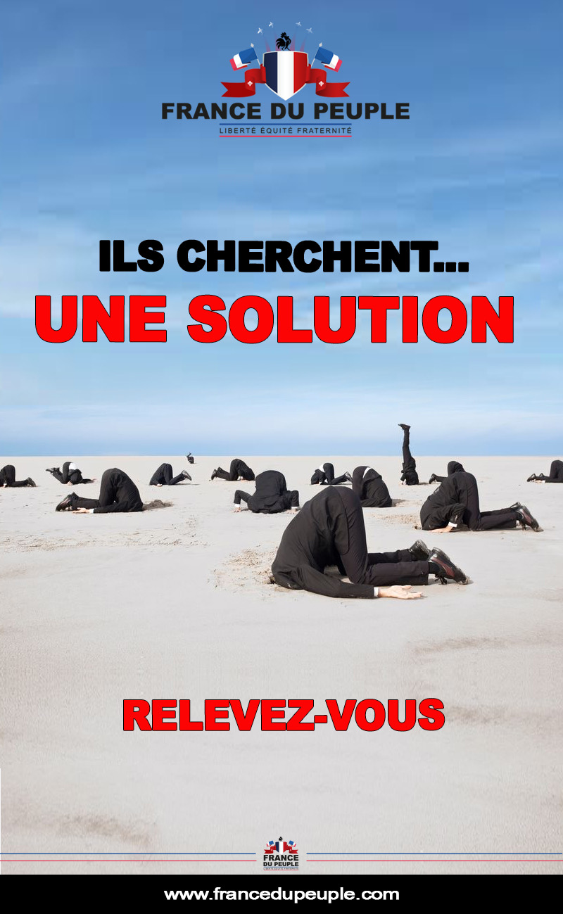 Alerte Autruche Solution