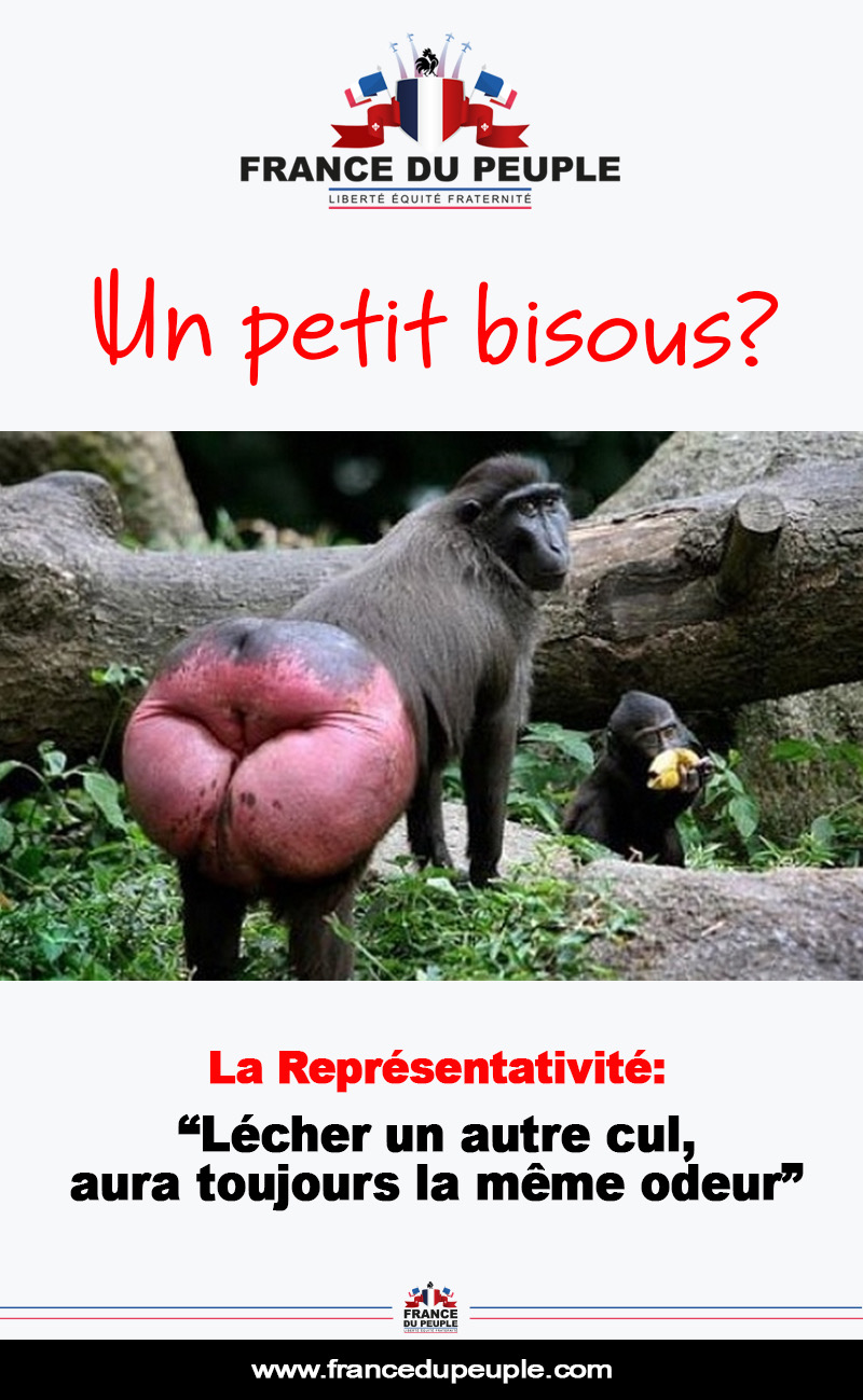 Alerte Representativite Bisous