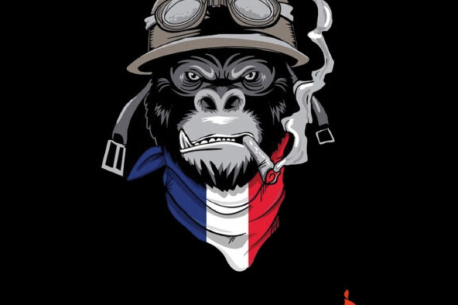 op-singe-576x1024