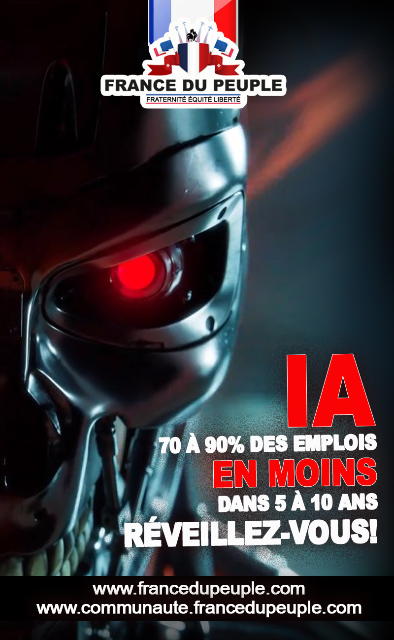 Montage Ia Emploi