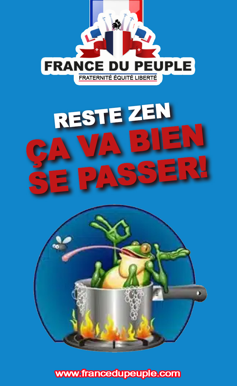 Montage Grenouille