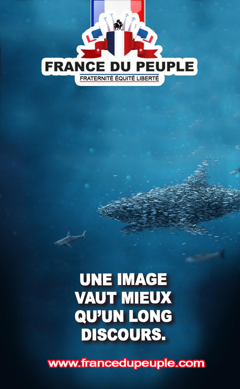 Montage Imagelongdiscours