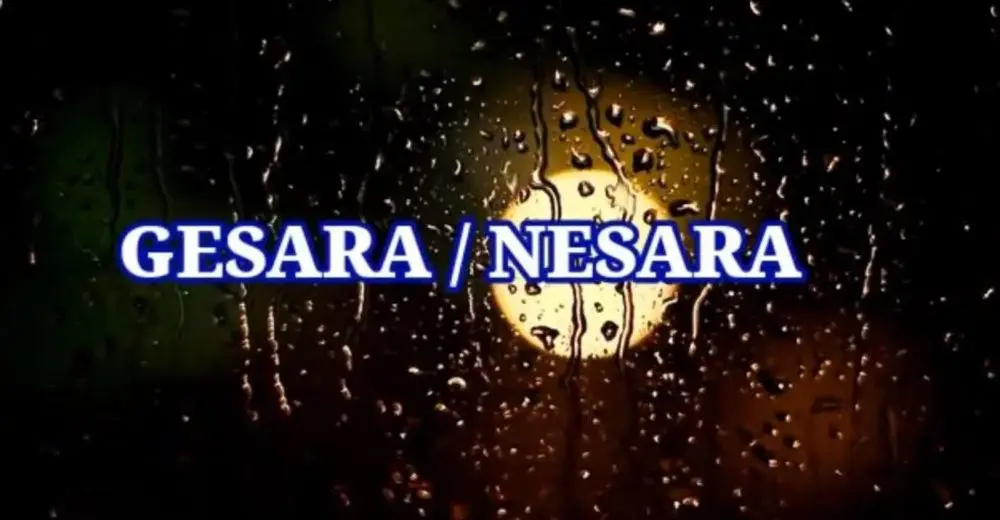 NESARA GESARA