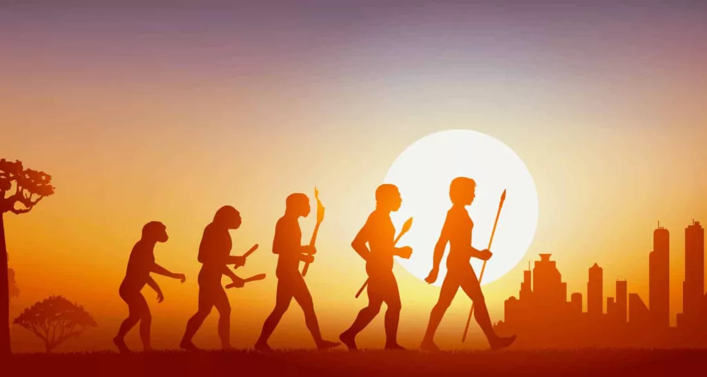HISTOIRE CIVILISATION